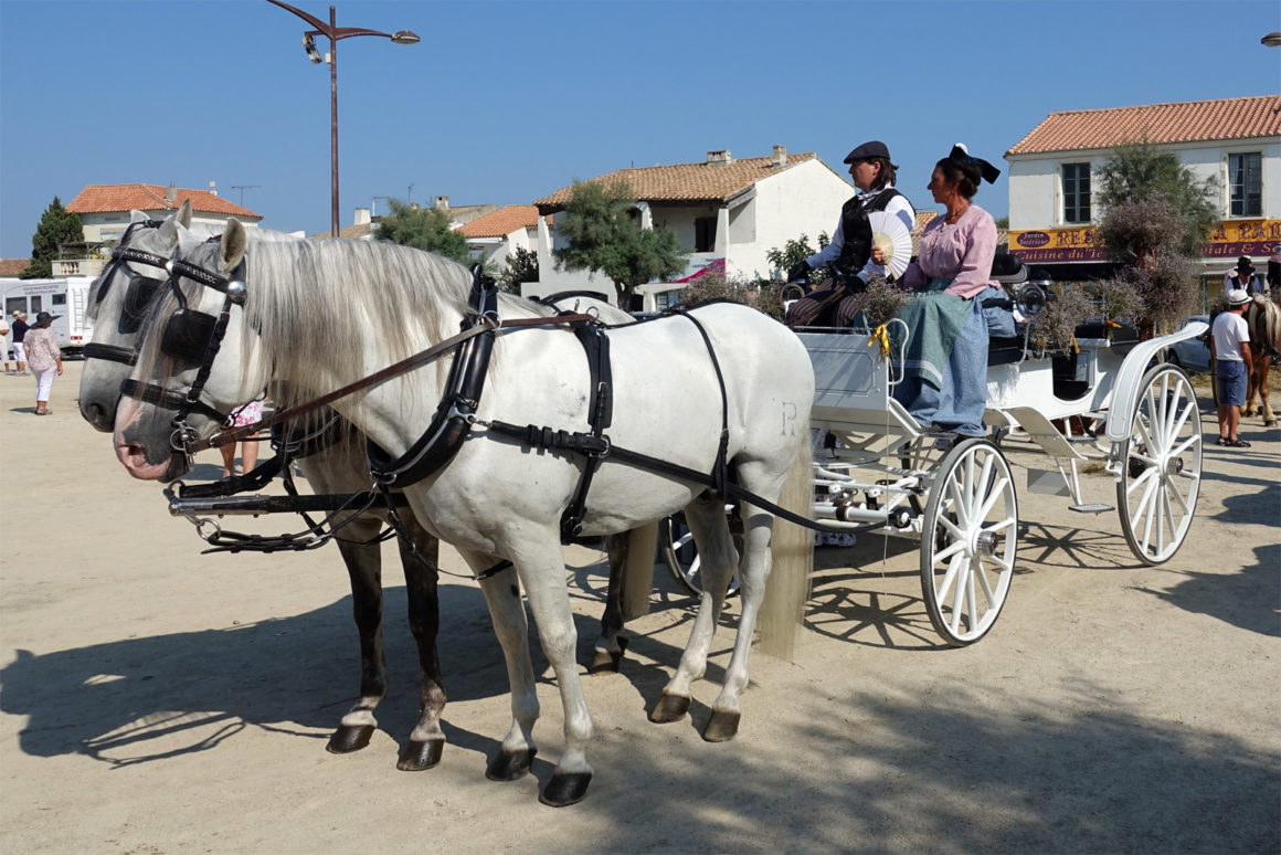 Fête De La Saladelle Aux Saintes Maries De La Mer