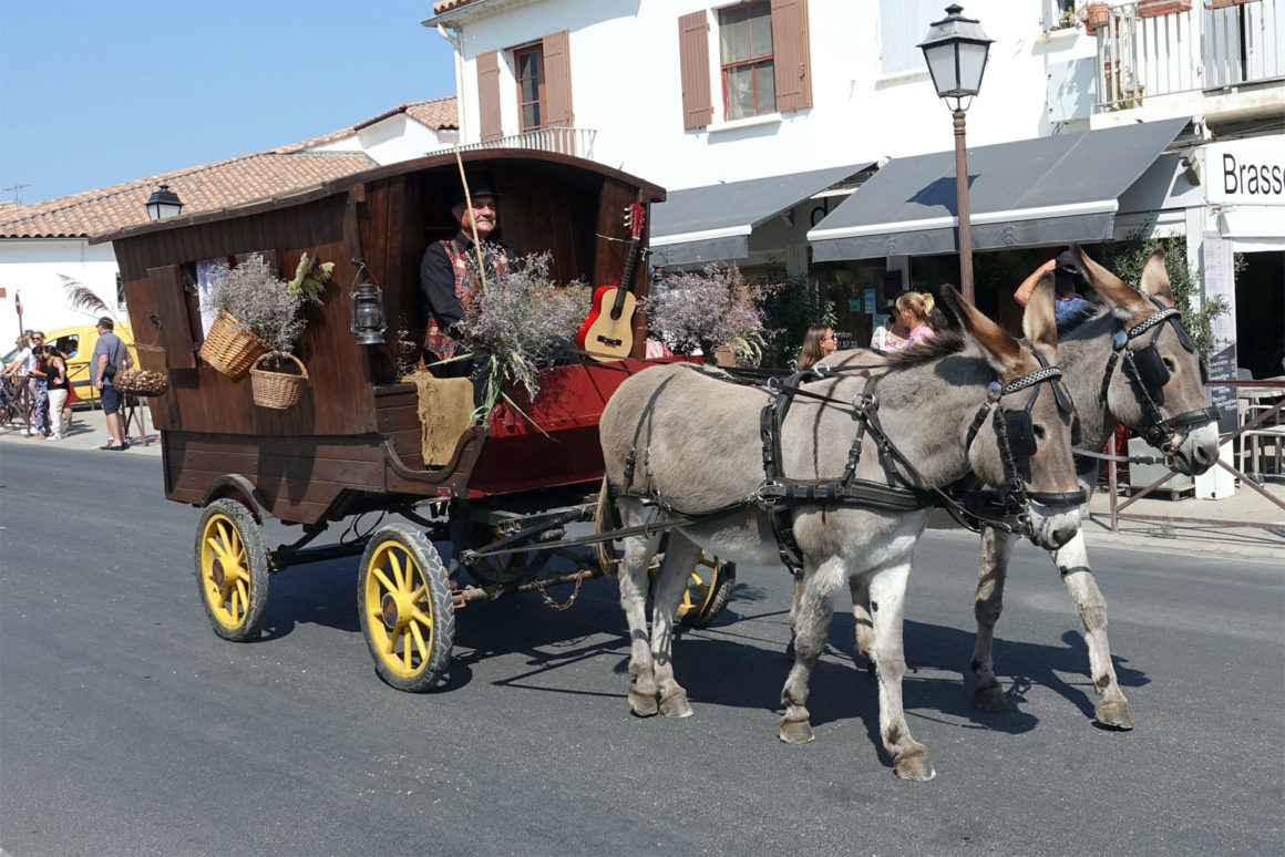 Fête De La Saladelle Aux Saintes Maries De La Mer