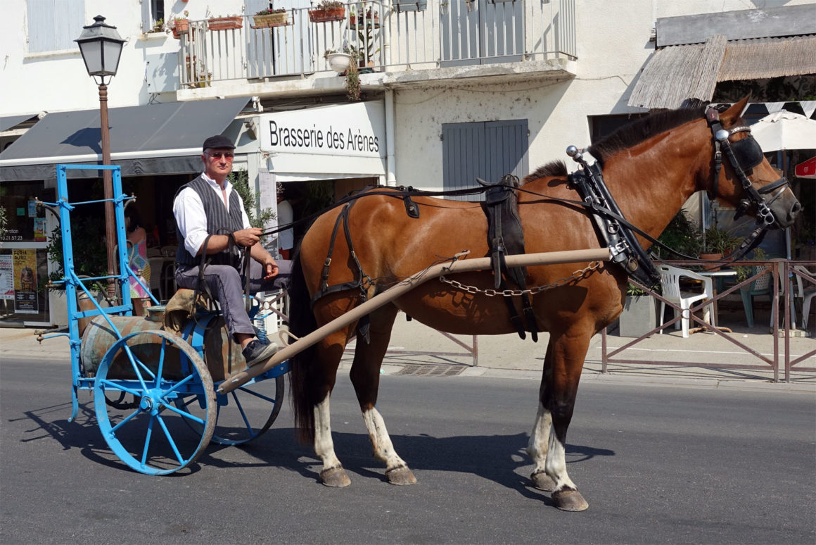Fête De La Saladelle Aux Saintes Maries De La Mer
